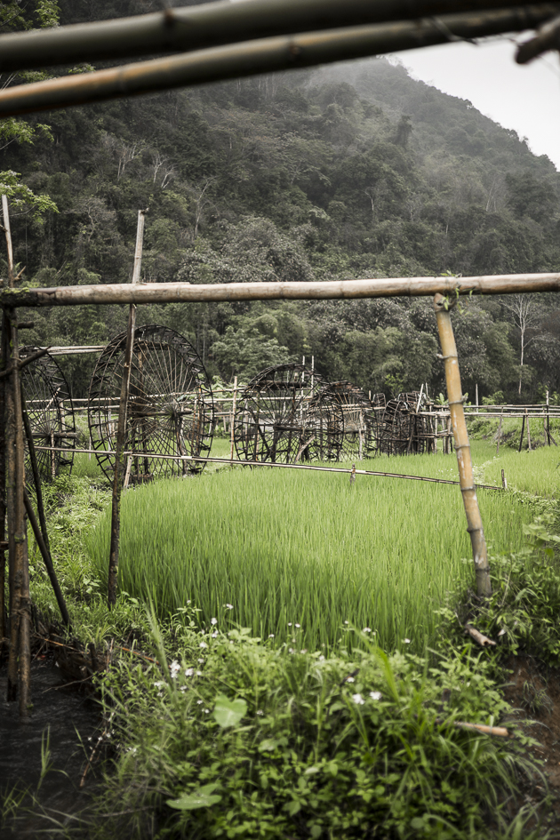 sentiers suivent les roues à eau dans la campagne du Vietnam