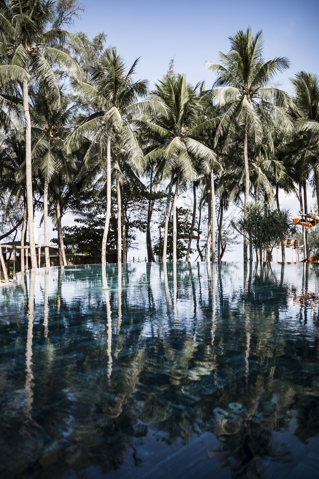 reflets dans la piscine des palmiers sur l'île de Phu Quoc