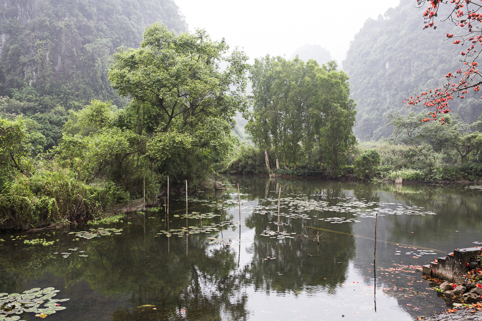 Vue depuis le bord de rivière dans la région de Ninh Binh au Vietnam