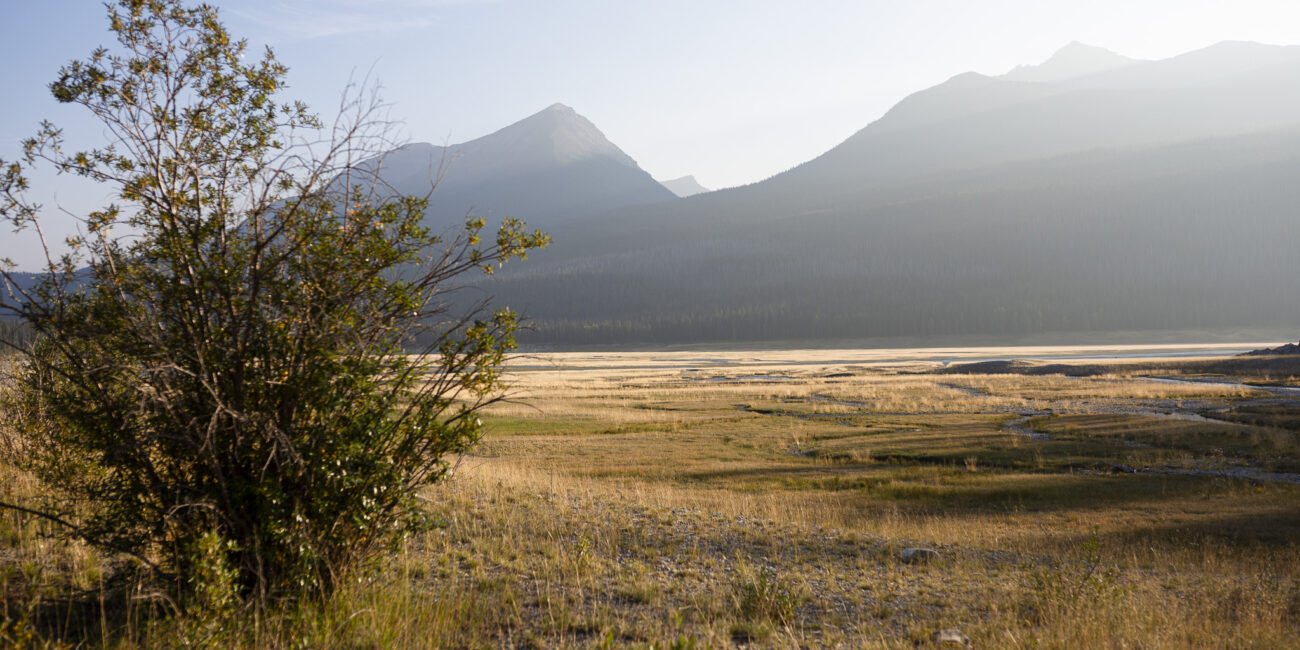 la vallée illuminée par le soleil couchant. l'herbes est orangé et les montagnes sont dans l'ombre