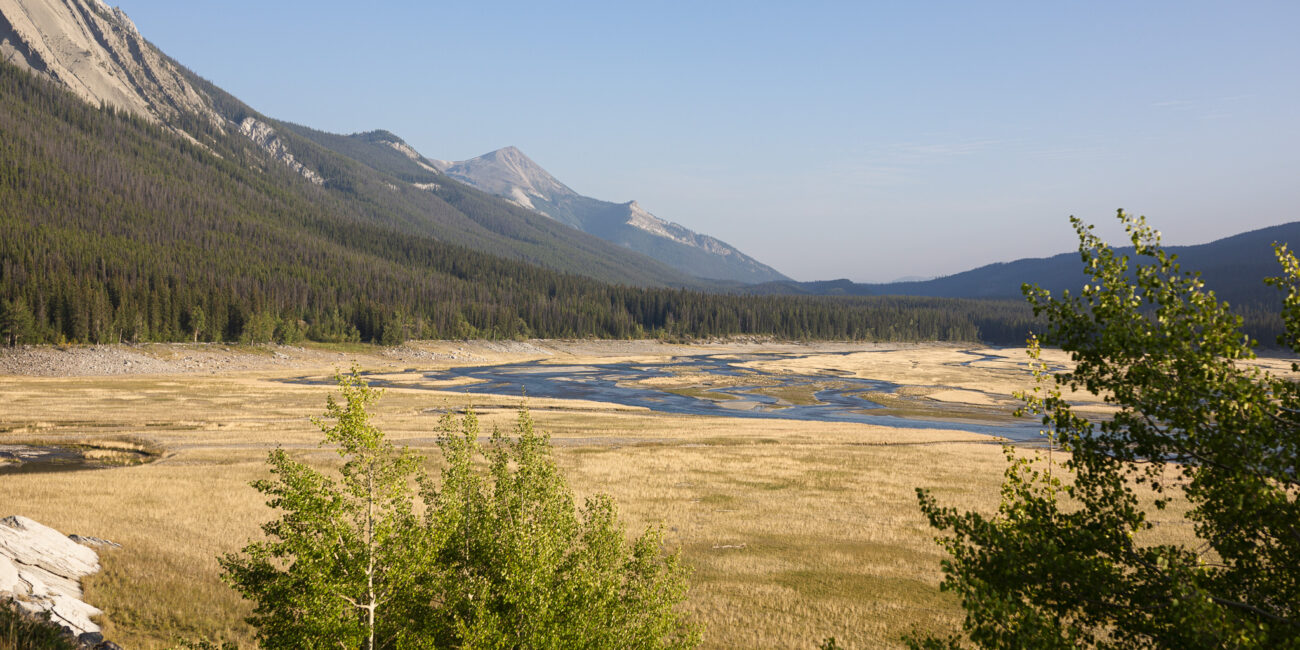 vue sur une rivière dans la vallée de jasper au canada, lors du couchée de soleil