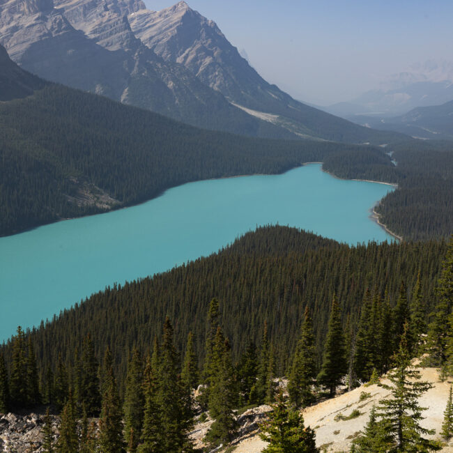 le lac peyto au canada par un jour ensoleillé