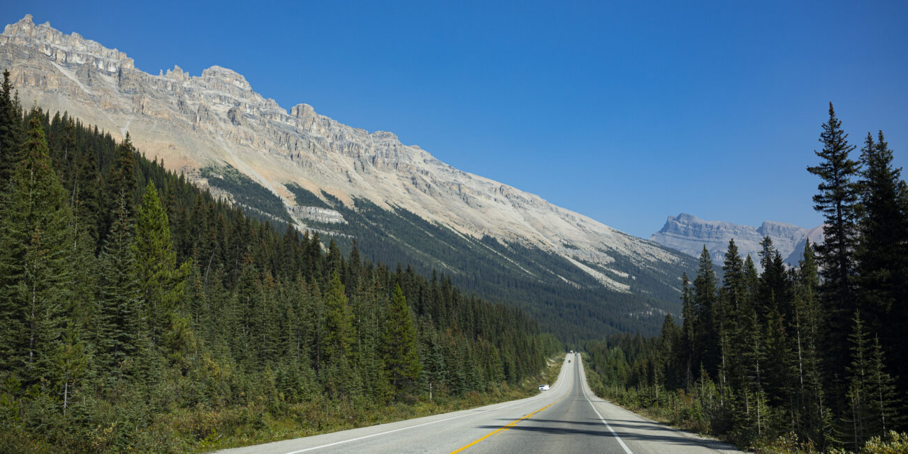 Route rectiligne traversant une forêt dense, menant vers une chaîne de montagnes rocheuses sous un ciel bleu dégagé.