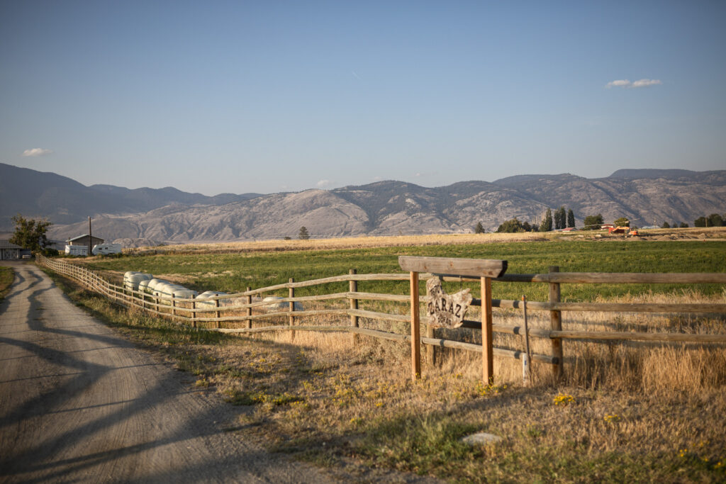 lumière dorée de soirée donnant sur les montagnes arides de l'ouest canadien