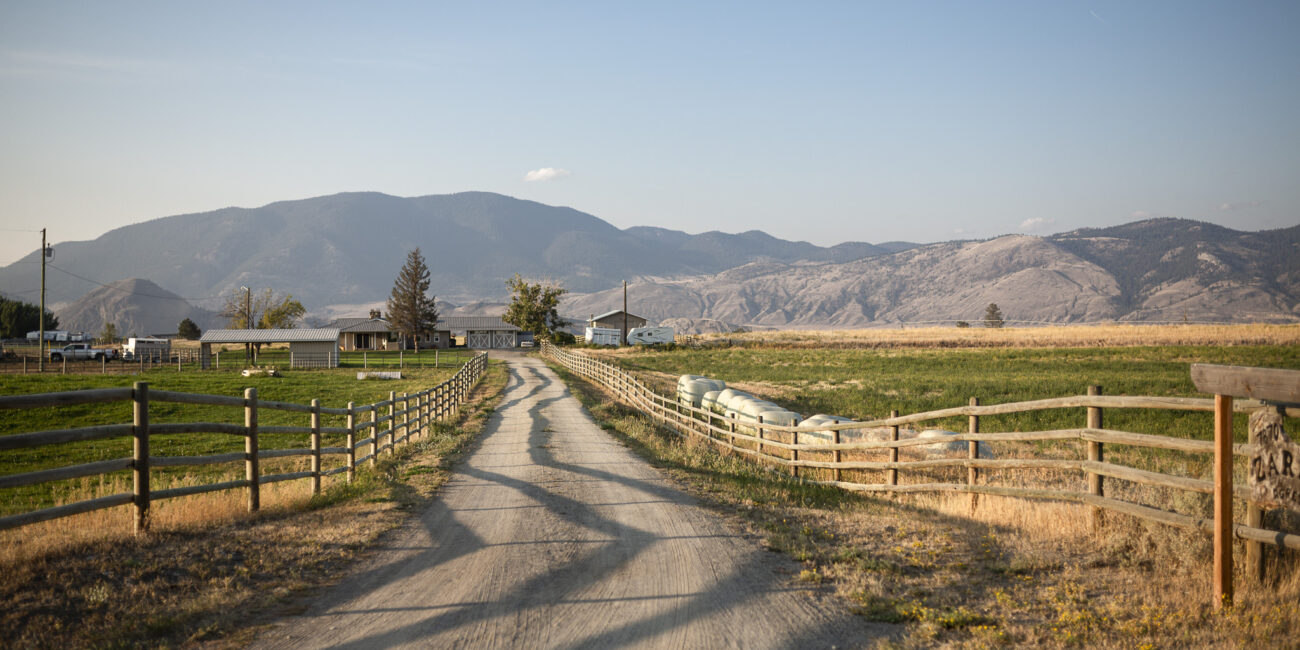 route menant à la ferme à kamlopps en fin d'après-midi dans une ambiance chaude