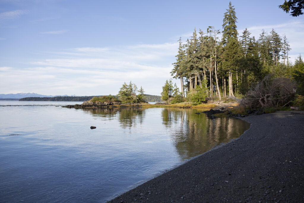 le soleil arrive enfin sur la baie de l'île de vancouver