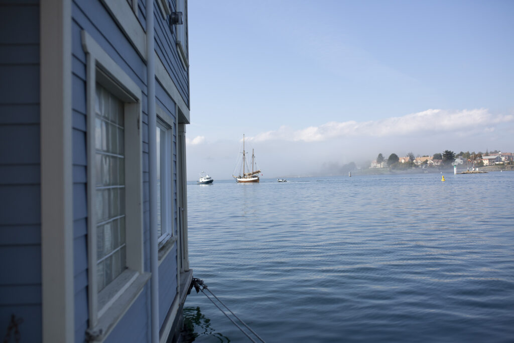 par une journée ensoleillée au petit port coloré de victoria au canada